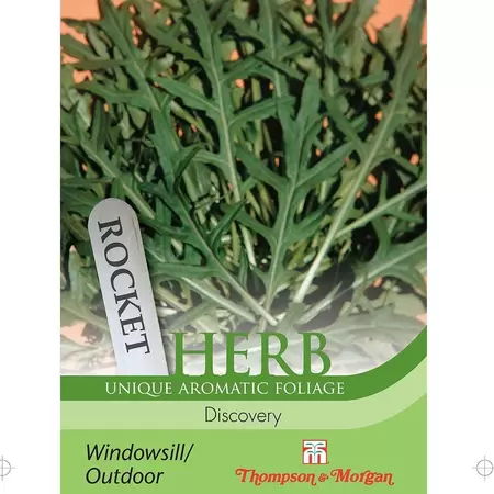 Herb Rocket Discovery