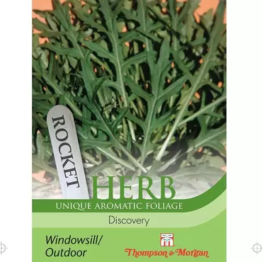 Herb Rocket Discovery