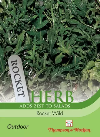 Herb Rocket Wild