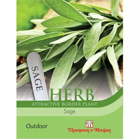 Herb Sage