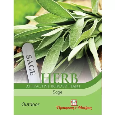 Herb Sage