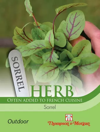 Herb Sorrel