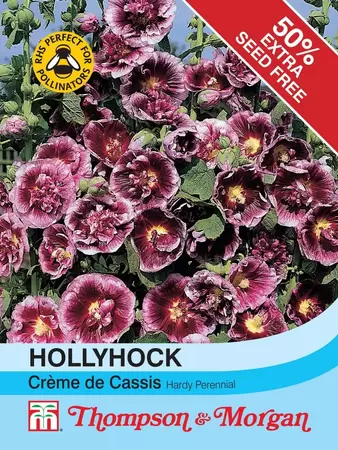 Hollyhock Crème de Cassis