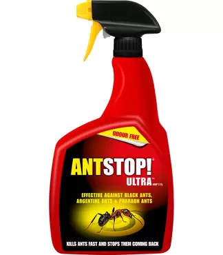 Home Defence Ant Stop Gun 800ml