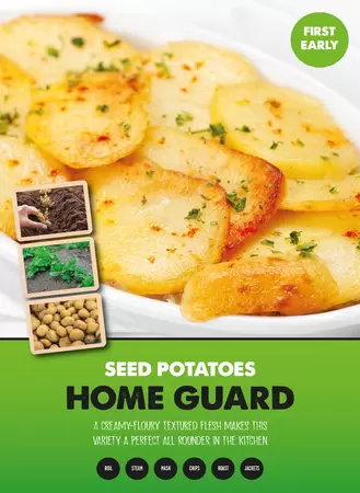 Home Guard Seed Potato 2kg
