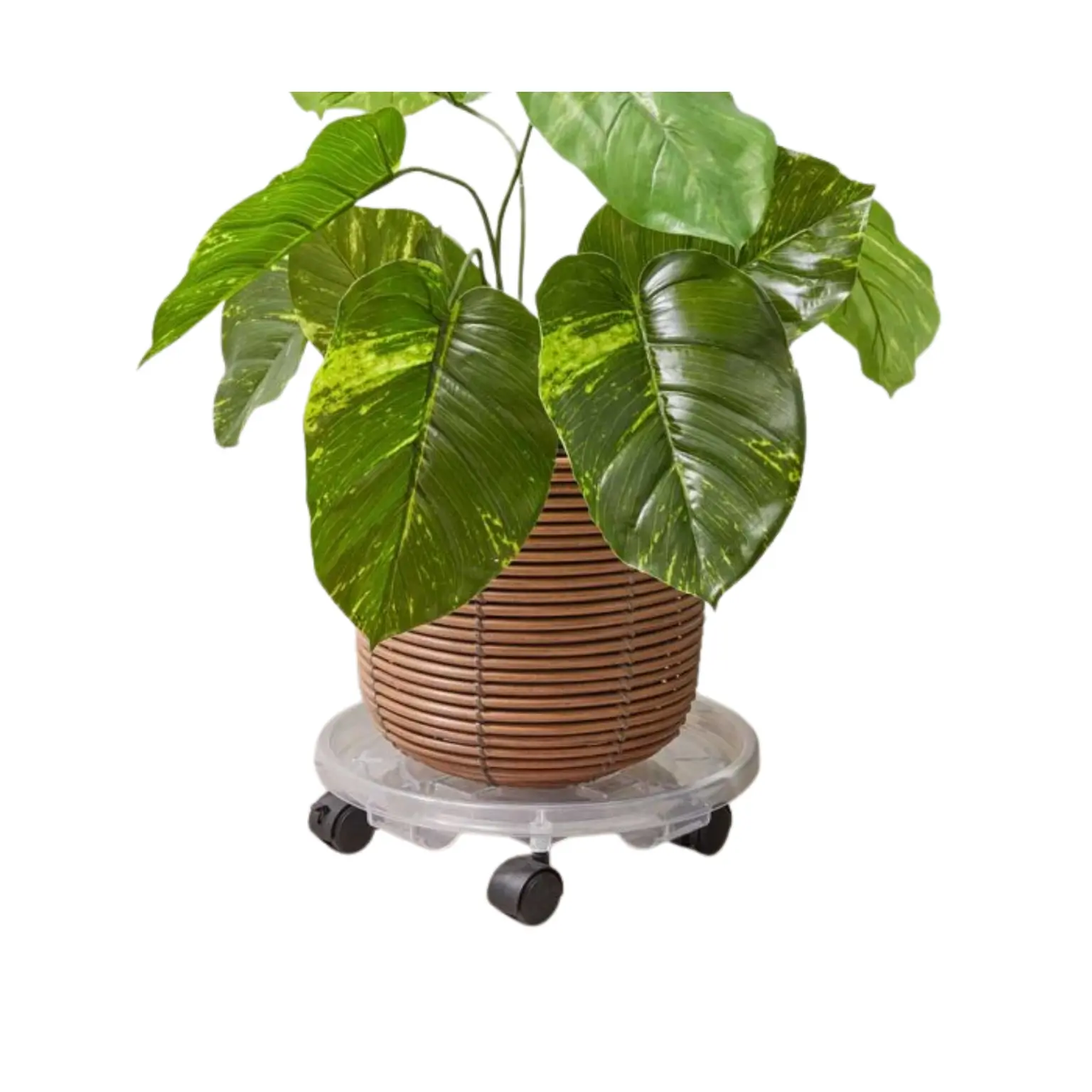 Homestyle Pot Caddy 33 Cm - Hanleys of Cork