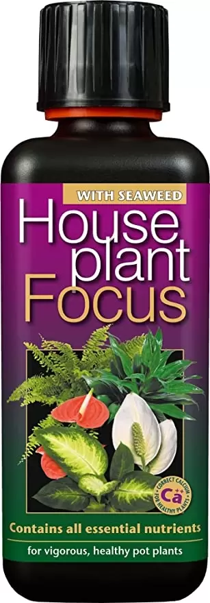 Houseplant Focus 300ml