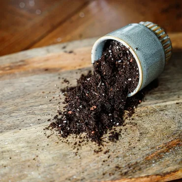 Houseplant Potting Mix 25L - image 4