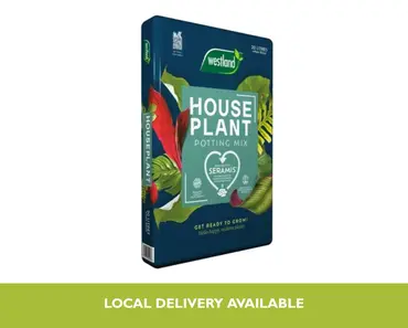 Houseplant Potting Mix 25L