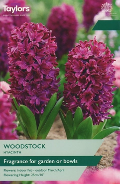 Hyacinth Woodstock Garden