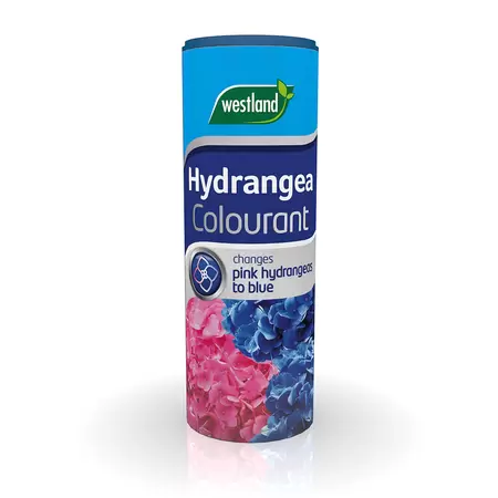 Hydrangea Colourant