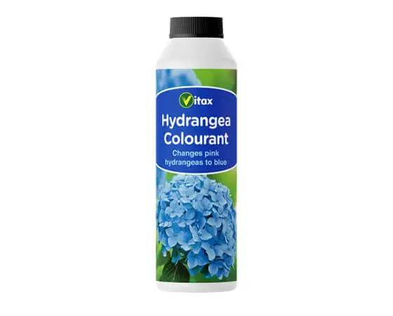 Hydrangea Colourant  500g