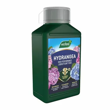 Hydrangea Specialist Liquid Feed 1l