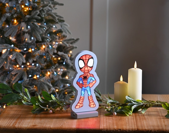 Infinity Spidey 20cm