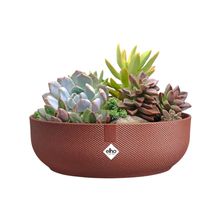 Jazz Bowl Red 28cm - image 3