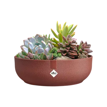 Jazz Bowl Red 28cm - image 3