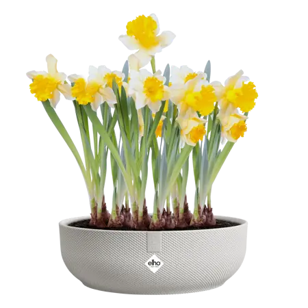 Jazz Bowl White 28cm - image 3