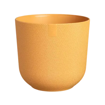 Jazz Round 16cm Amber Yellow