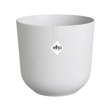Jazz Round Silky White 35cm - image 5