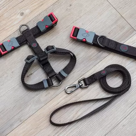 Jet Walkabout Dog Collar - XS (20cm - 30cm)