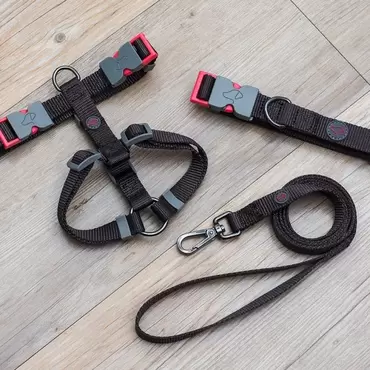 Jet Walkabout Dog Harness -Medium 