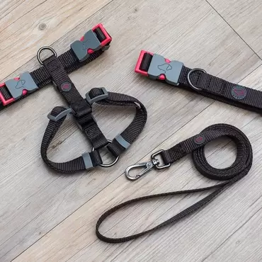 Jet Walkabout Dog Harness - Small (36cm-54cm)