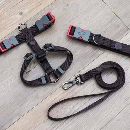 Jet Walkabout Dog Lead - Small 