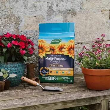 John Innes Peat Free Multi-Purpose Compost &  Mini Bale - image 3