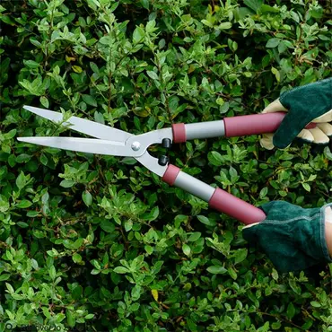 K&S Garden Life Hedge Shears - image 2