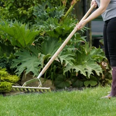 K&S Scarifying Rake - image 3