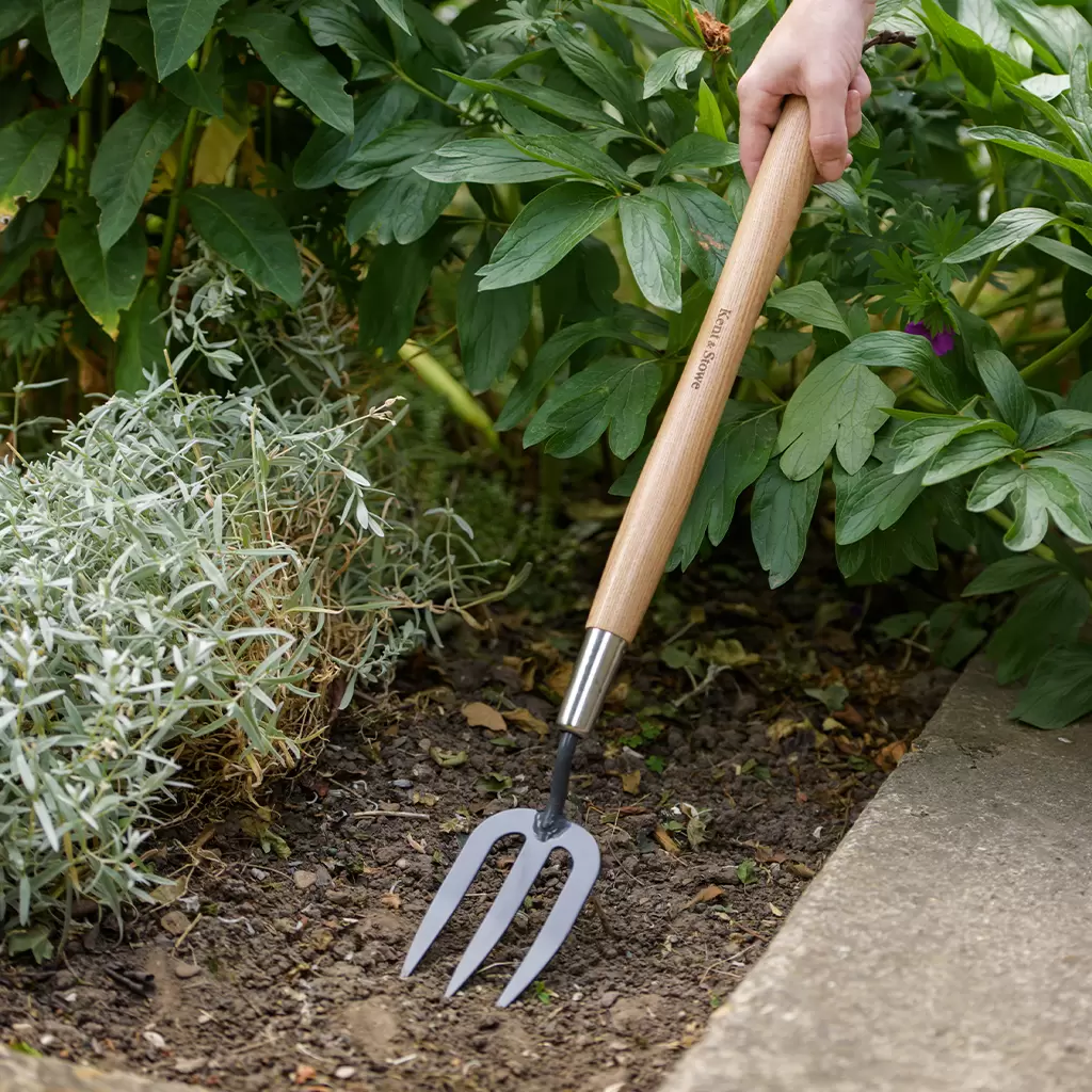 Kent and stowe carbon store steel border fork