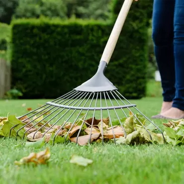 Kent & Stowe Carbon Steel Long Handled Lawn Rake - image 2