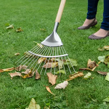 Kent & Stowe Stainless Steel Long Handled Lawn Rake - image 2