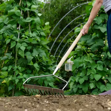 Kent & Stowe Stainless Steel Long Handled Soil Rake - image 2