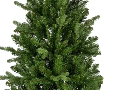 Killington Fir 10ft/300cm - image 3