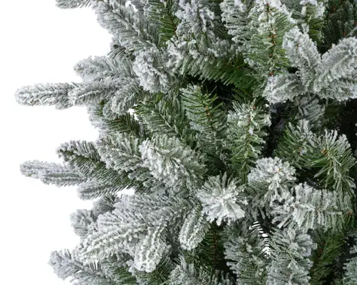 Killington Fir Frosted 240cm/8ft - image 6