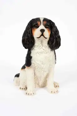 King Charles Sitting