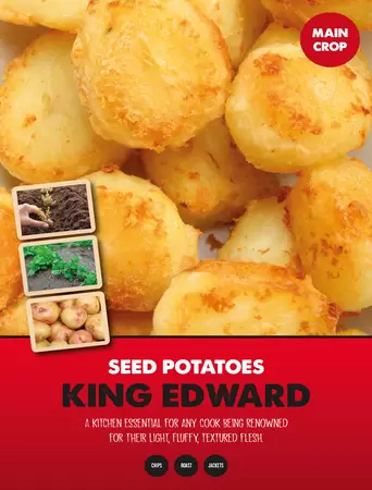 King Edward Seed Potato