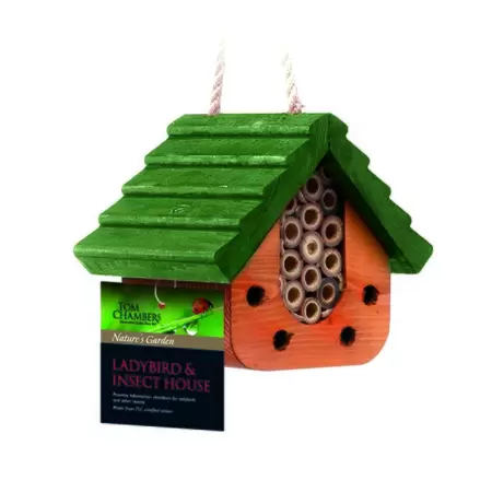ladybird and insect house