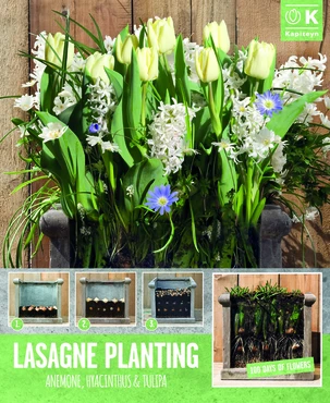 Lasagne Planting White