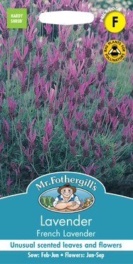 Lavender French Lavender - image 1