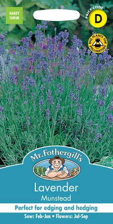 Lavender Munstead - image 1