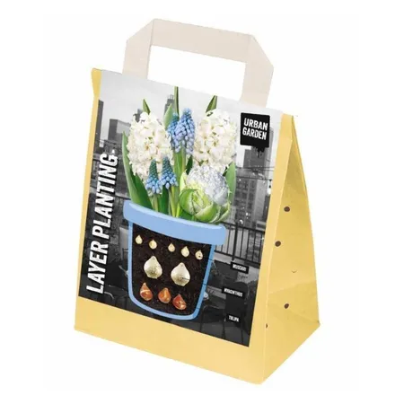 Layer Planting Bulbs White