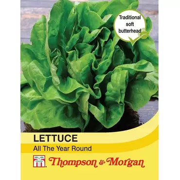 Lettuce All Year Round