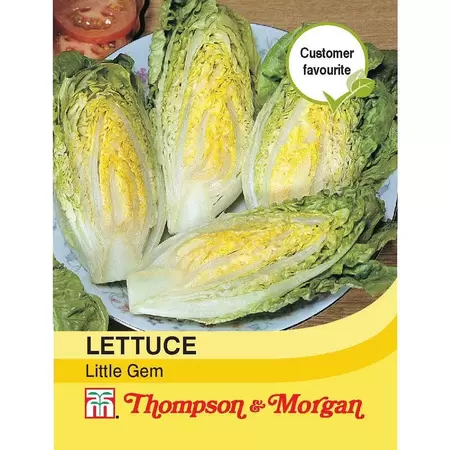 Lettuce Little Gem