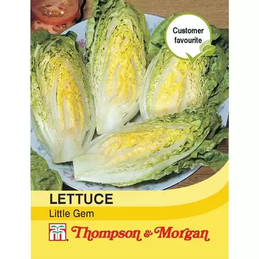 Lettuce Little Gem