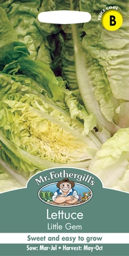 Lettuce Little Gem - image 1