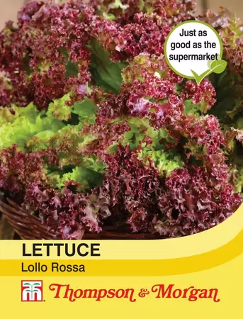 Lettuce Lollo Rossa