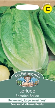 Lettuce Romaine Ballon - image 1
