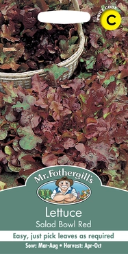 Lettuce Salad Bowl Red - image 1